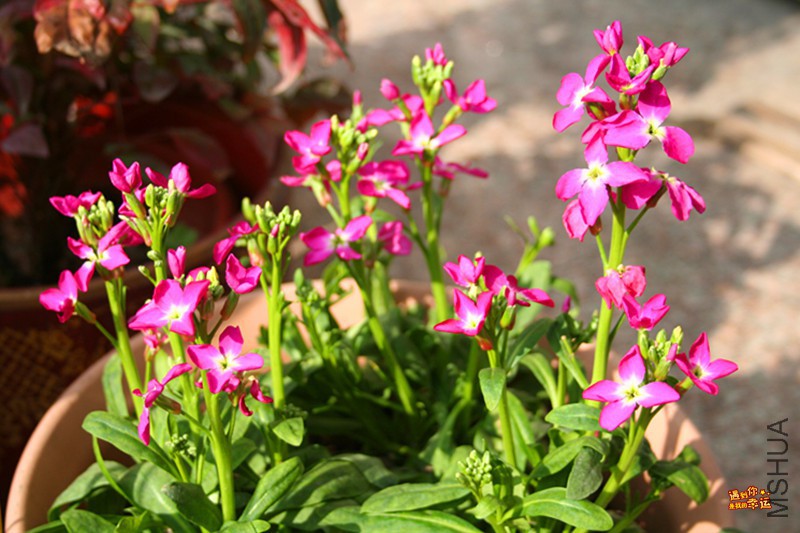 ��Ƭ 045_����.jpg