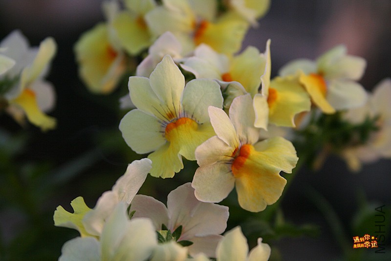 ��Ƭ 040_����.jpg