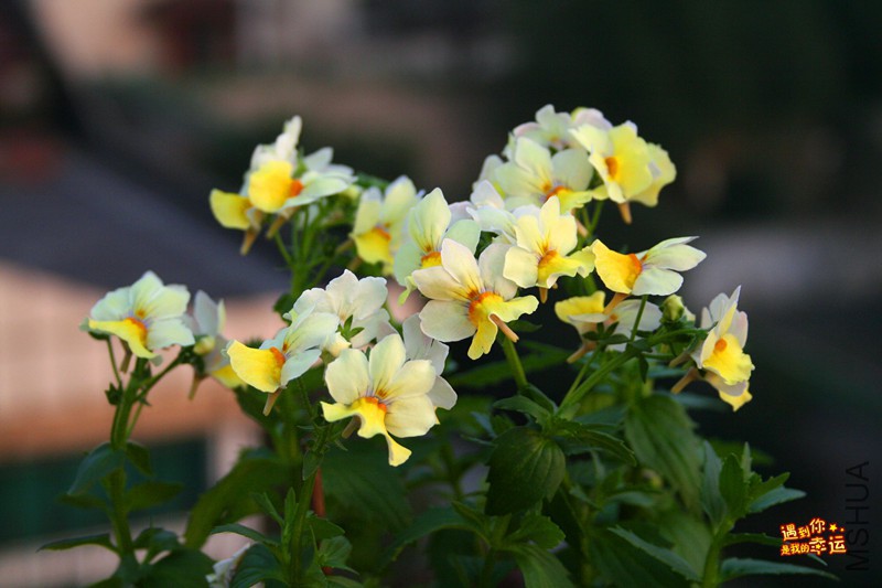 ��Ƭ 037_����.jpg