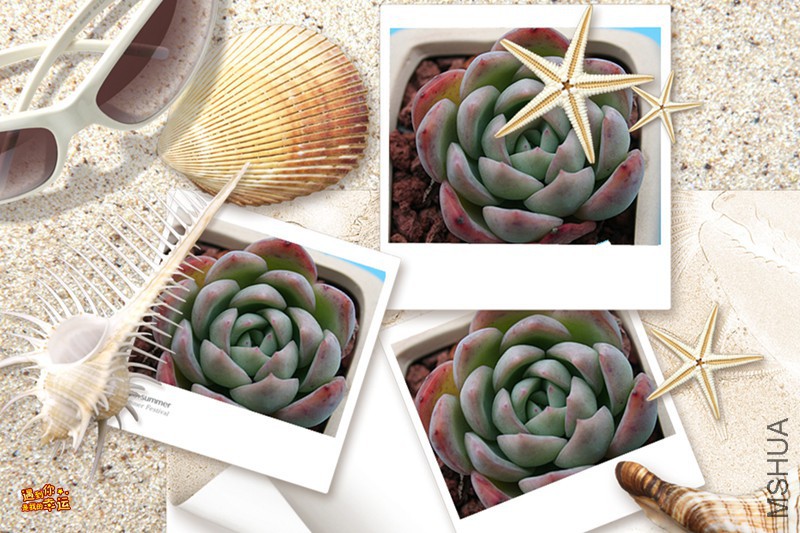 ��Ƭ 013_����_����.jpg