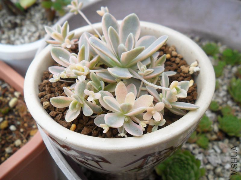 SAM_9041_����.jpg