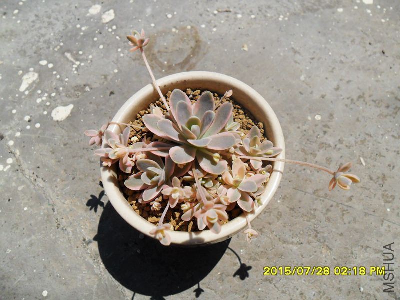 SAM_9326_����.jpg