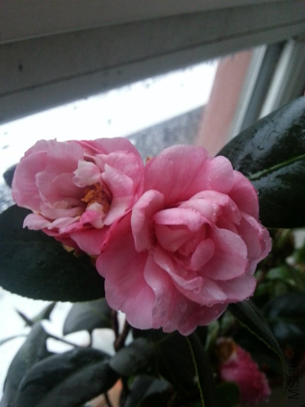 ����������