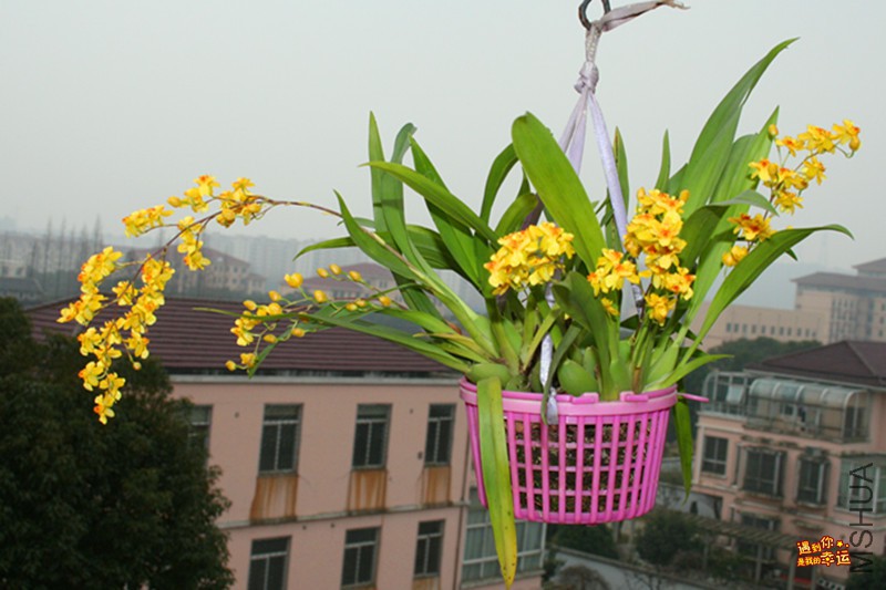 ��Ƭ 054_����.jpg