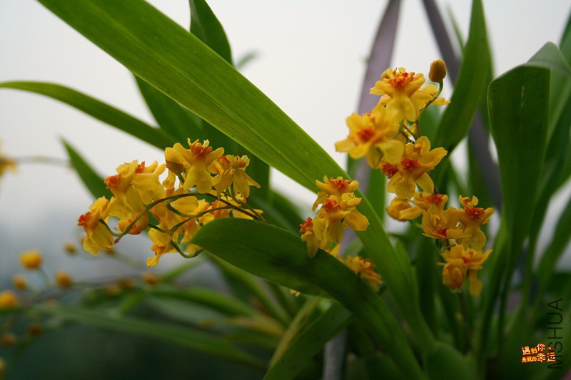 ��Ƭ 056_����.jpg