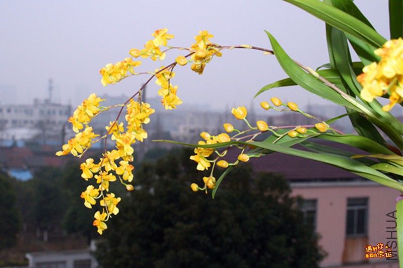 ��Ƭ 058_����.jpg