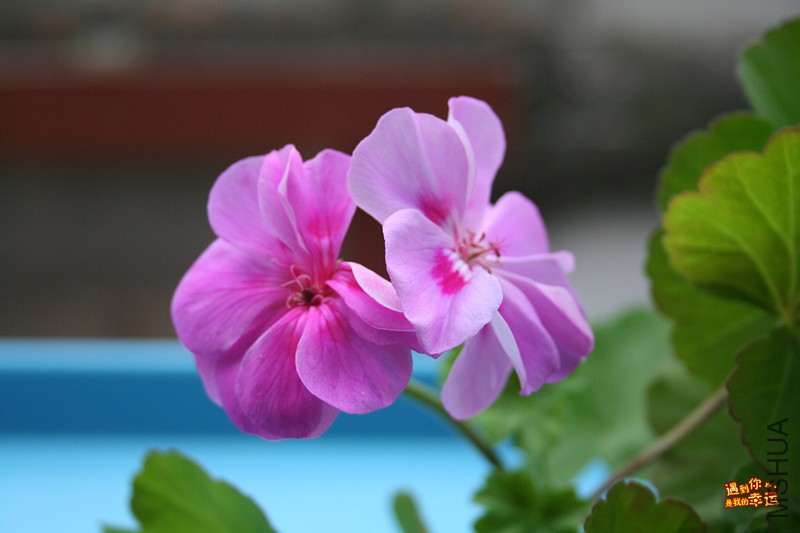 ��Ƭ 029_����.jpg