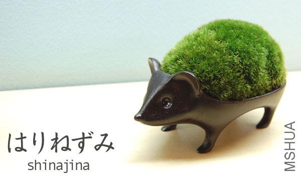 shin033-top.jpg