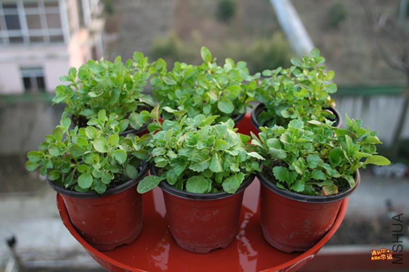 ��Ƭ 052_����.jpg