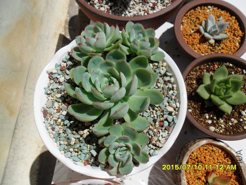 SAM_8966_����.jpg