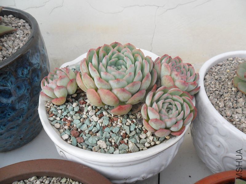 SAM_1173_����.jpg