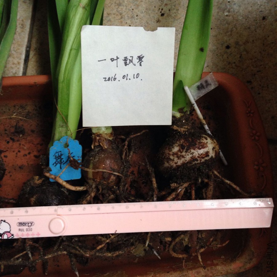 QQͼƬ20160110112522.jpg
