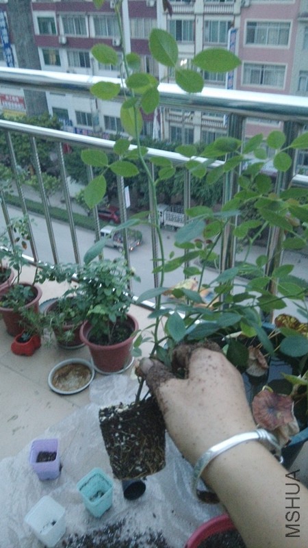 �����ط���