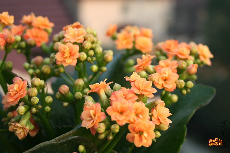 ��Ƭ 021_����.jpg