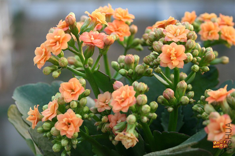 ��Ƭ 022_����.jpg