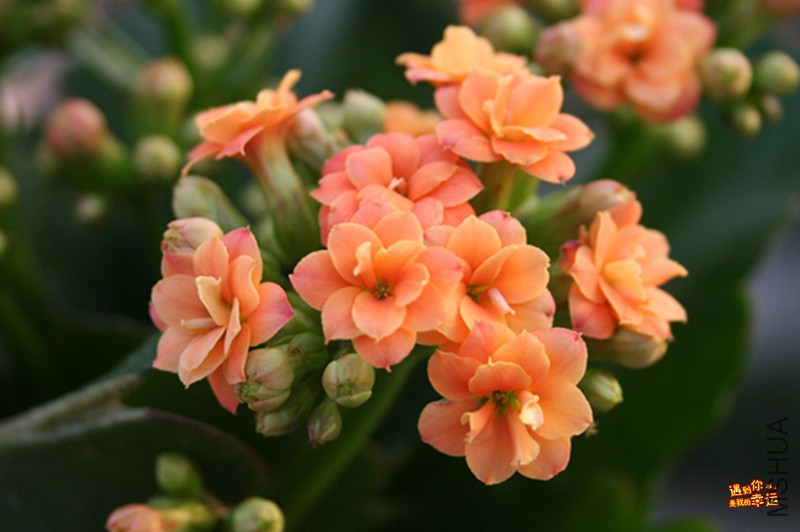 ��Ƭ 025_����.jpg