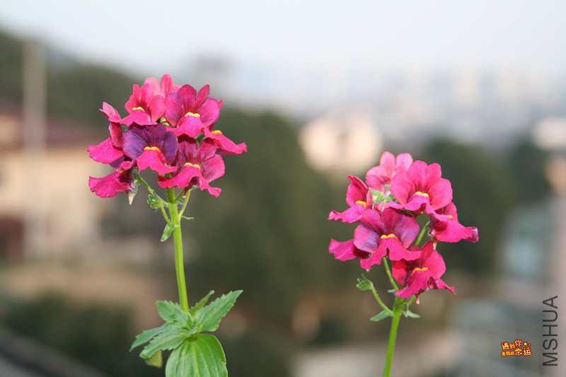 ��Ƭ 041_����.jpg