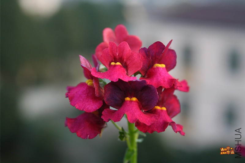 ��Ƭ 043_����.jpg