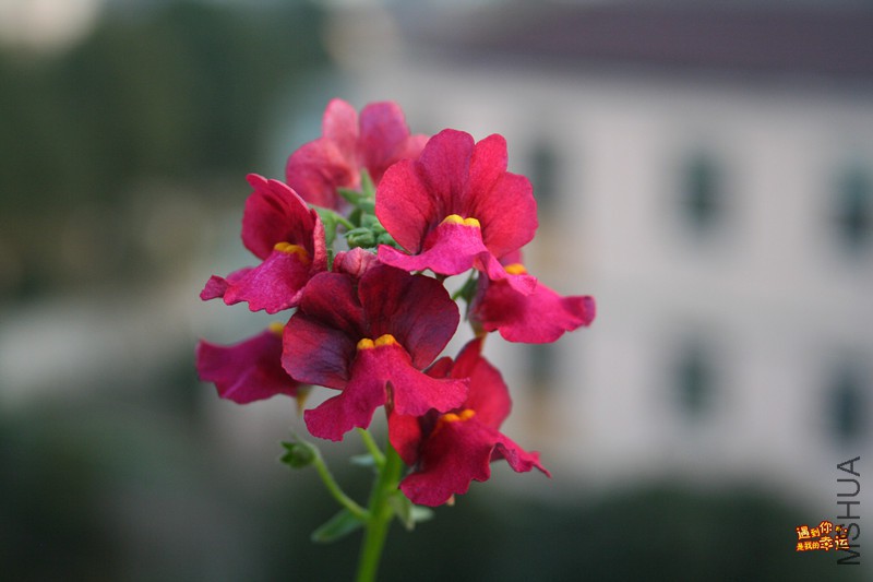 ��Ƭ 045_����.jpg