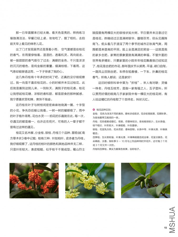 ��Ҳ��ʮ����pdf19.jpg
