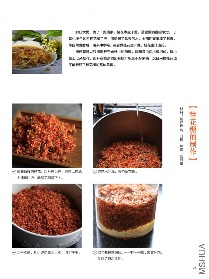 ��Ҳ��ʮ����pdf21.jpg