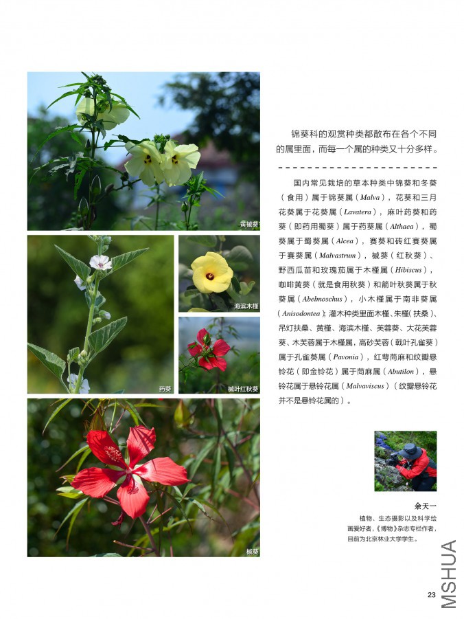 ��Ҳ��ʮ����pdf23.jpg