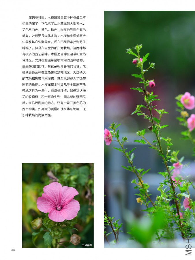 ��Ҳ��ʮ����pdf24.jpg