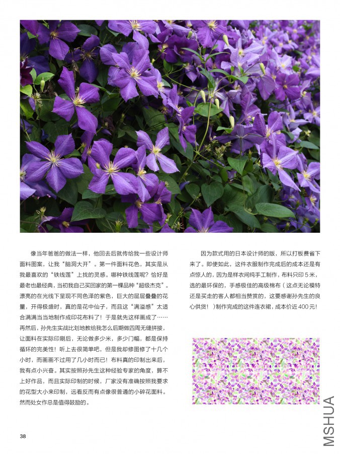 ��Ҳ��ʮ����pdf38.jpg
