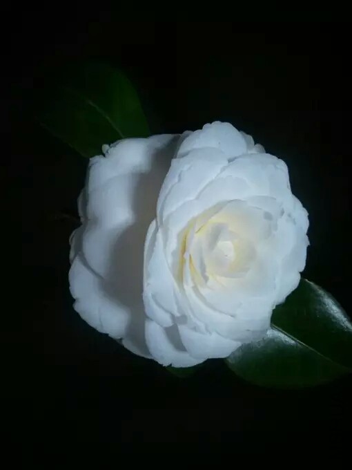 119851765336047831.jpg