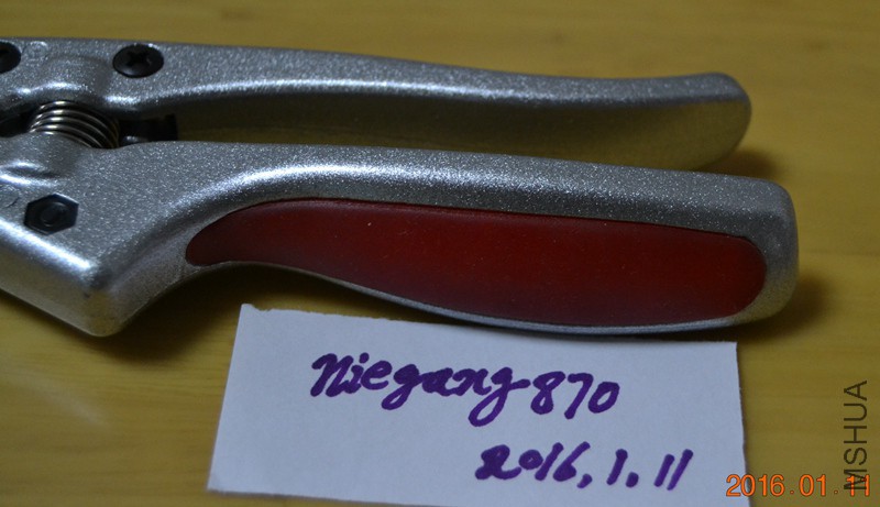 DSC_3446.JPG