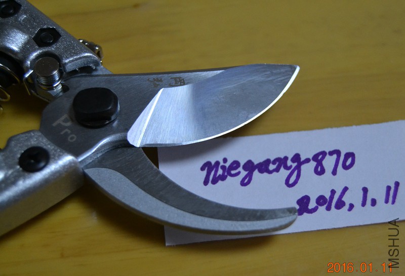 DSC_3456.JPG