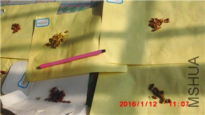 IMG_0014.jpg