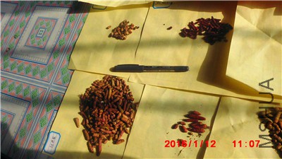 IMG_0015.jpg