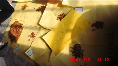 IMG_0017.jpg