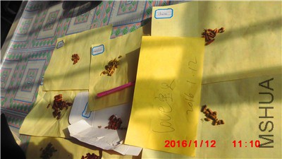 IMG_0018.jpg