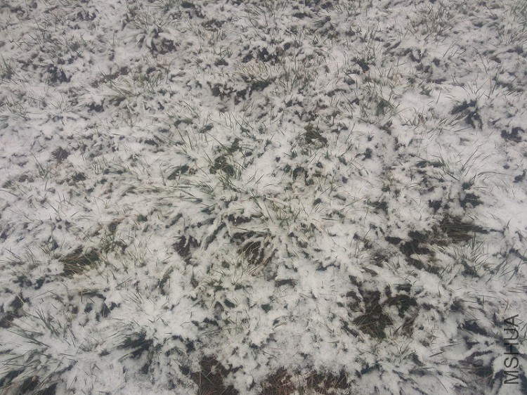 IMG20160112132416.jpg