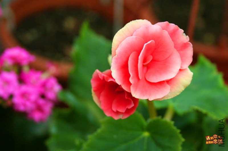 ��Ƭ 081_����.jpg