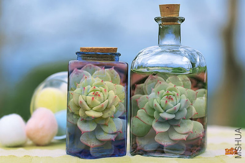 ��Ƭ 007_����.jpg