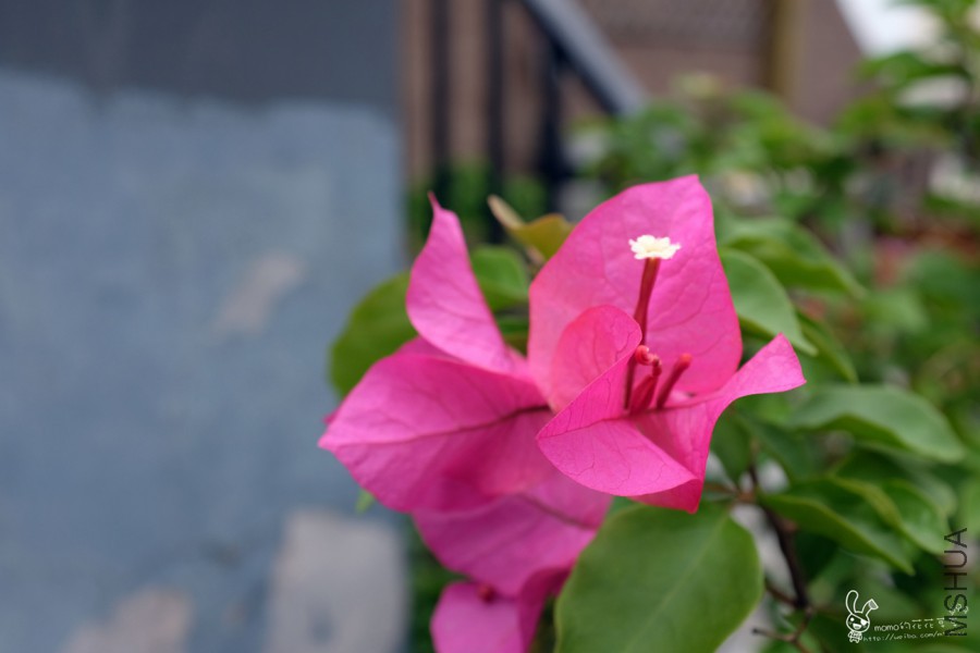 DSCF0042.jpg