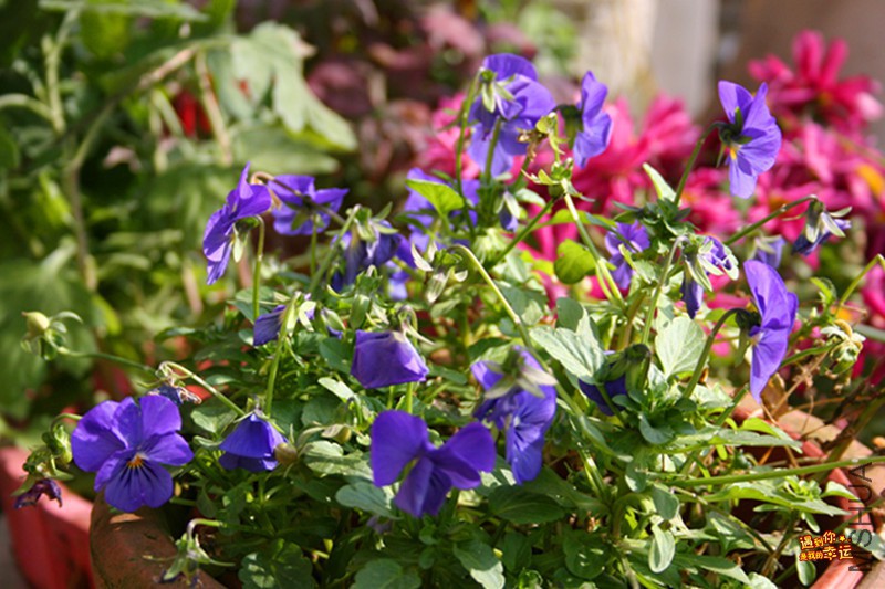 ��Ƭ 057_����.jpg