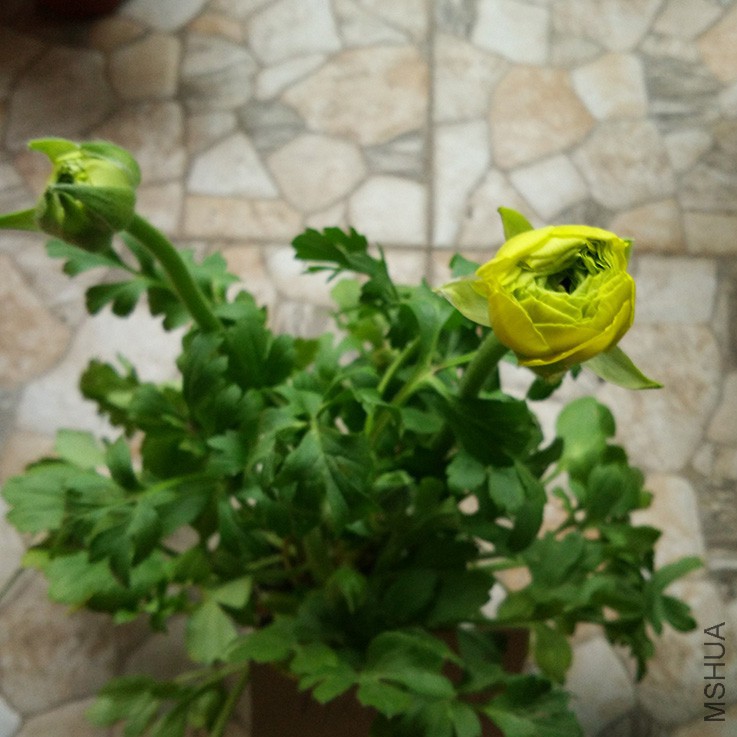 IMG_20160114_131854.jpg
