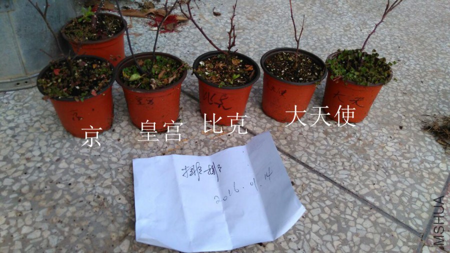 QQͼƬ20160114213846.jpg