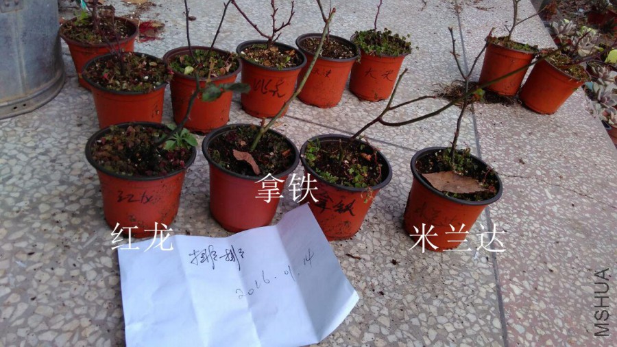 QQͼƬ20160114213858.jpg