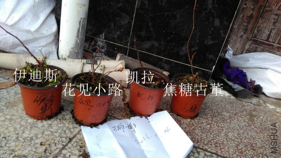 QQͼƬ20160114213907.jpg