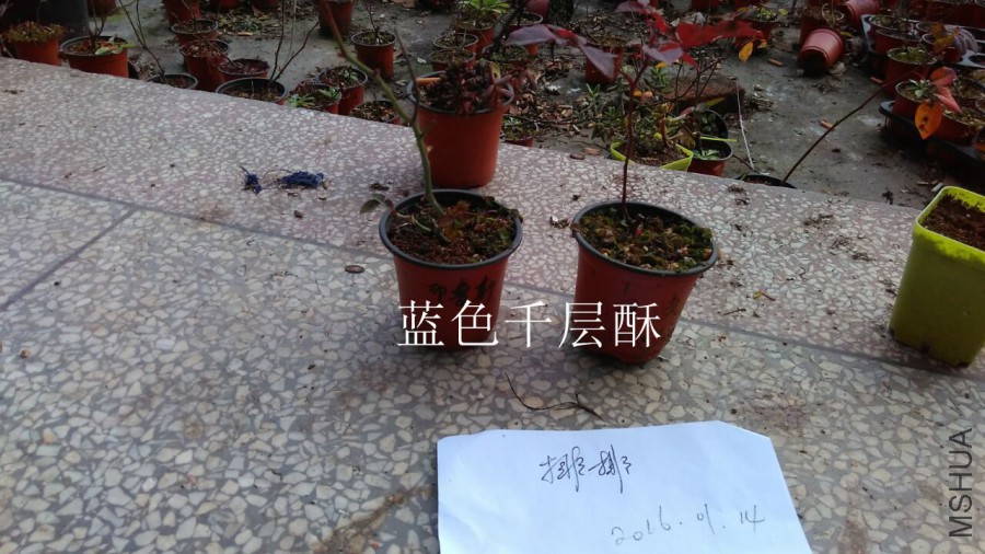 QQͼƬ20160114213911.jpg