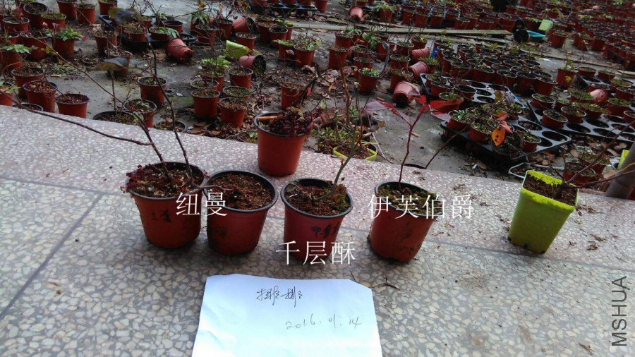 QQͼƬ20160114213915.jpg