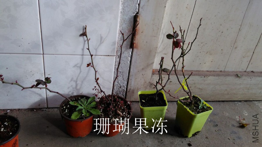 QQͼƬ20160114213936.jpg