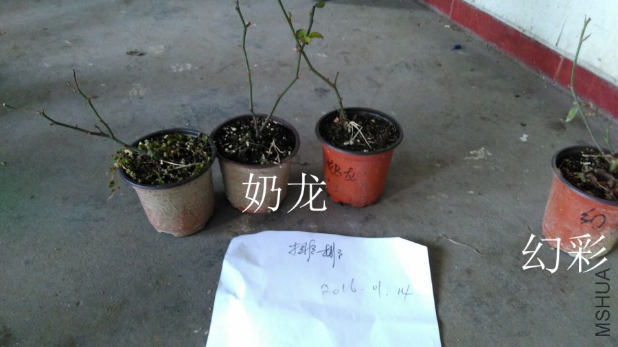 QQͼƬ20160114213939.jpg