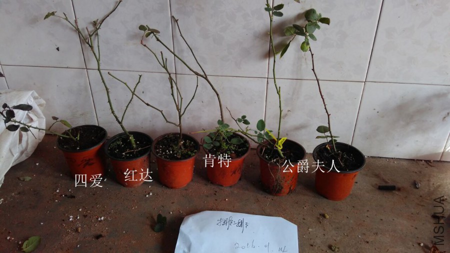 QQͼƬ20160114213946.jpg