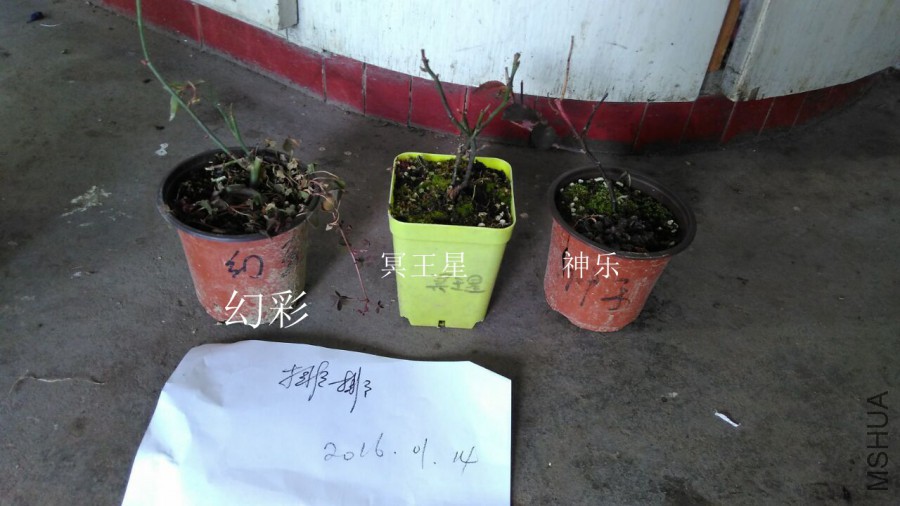 QQͼƬ20160114213950.jpg
